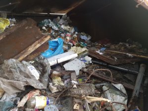 muellsammeln 04.03.2017 11