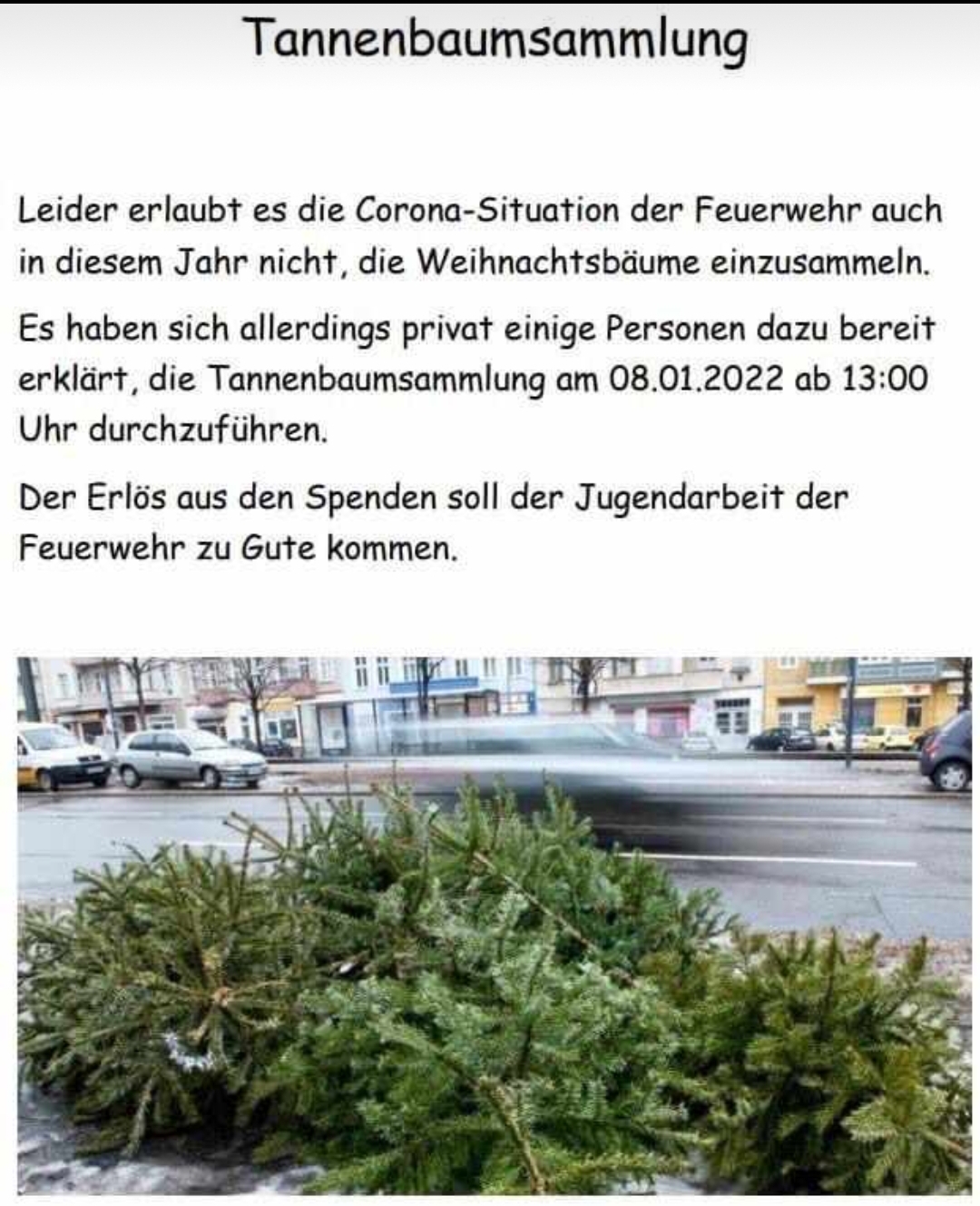 Tannenbaumsammlung 2022