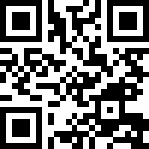 QR Code Umfrage